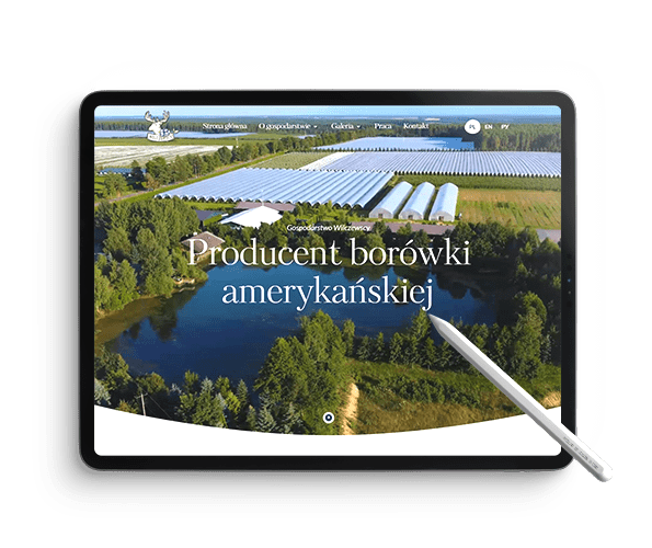 Blueberry.pl – Producent Borówek