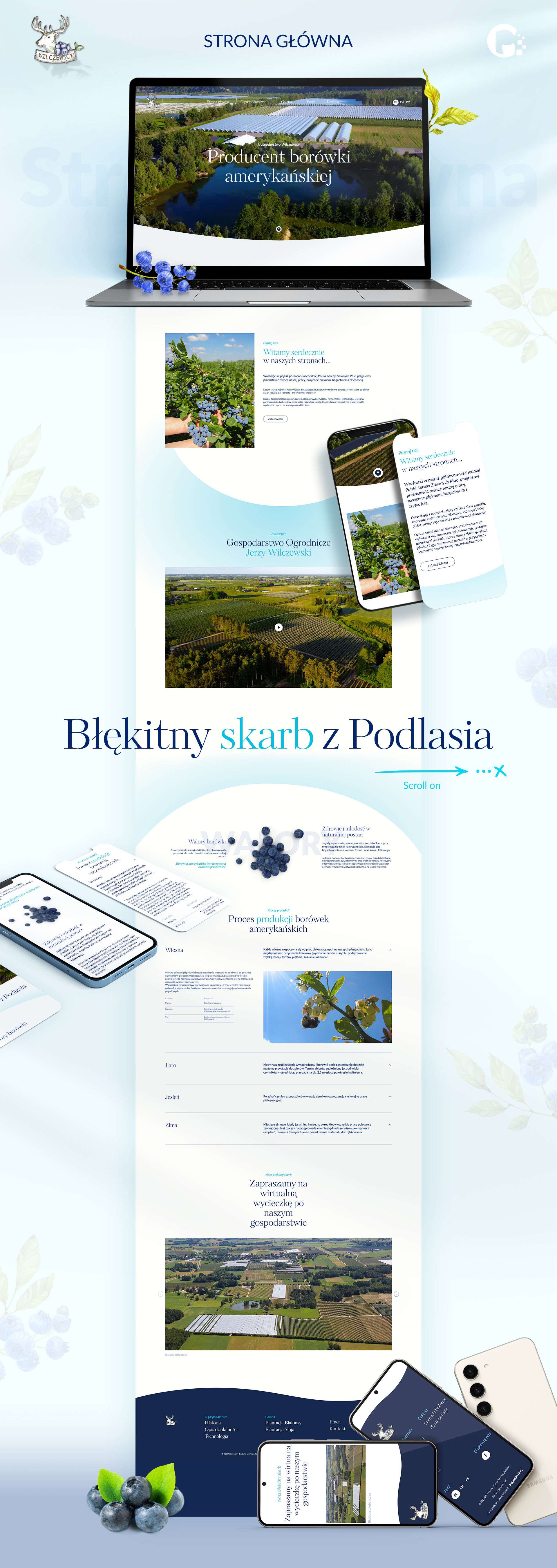 Blueberry.pl – Producent Borówek